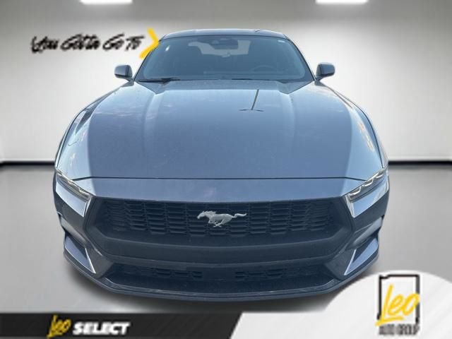 2024 Ford Mustang EcoBoost Premium Fastback