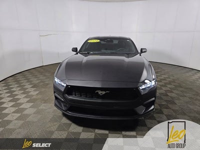 2024 Ford Mustang EcoBoost Premium Fastback