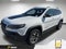 2019 Jeep Cherokee Trailhawk 4x4