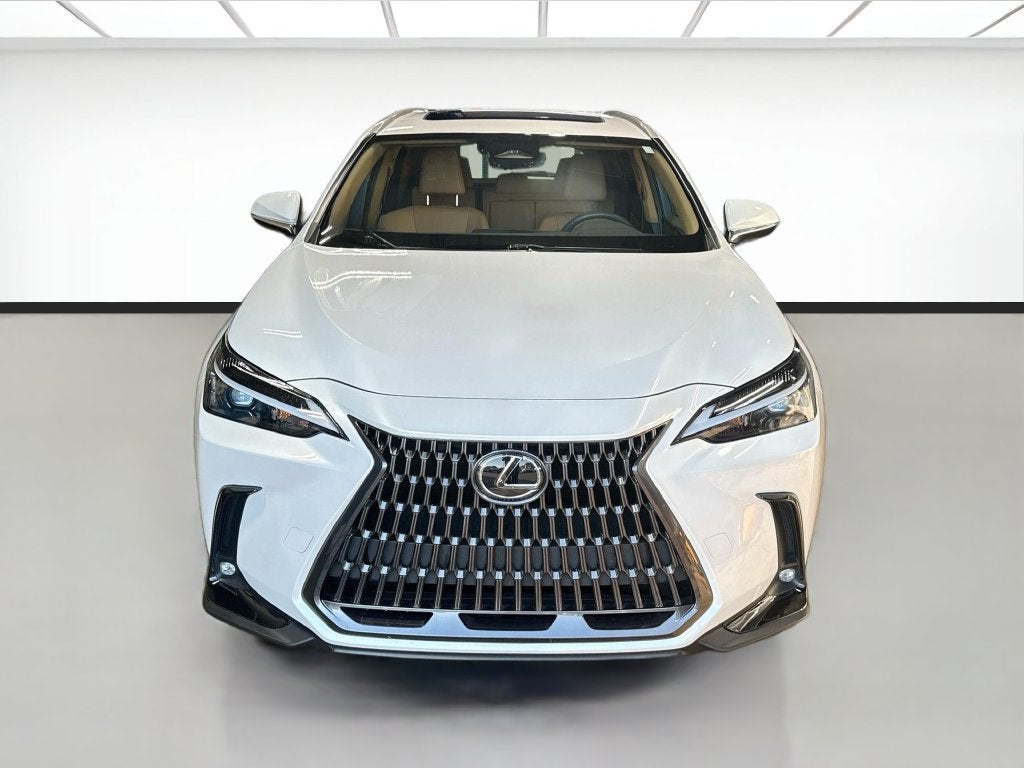 2024 Lexus NX NX 350