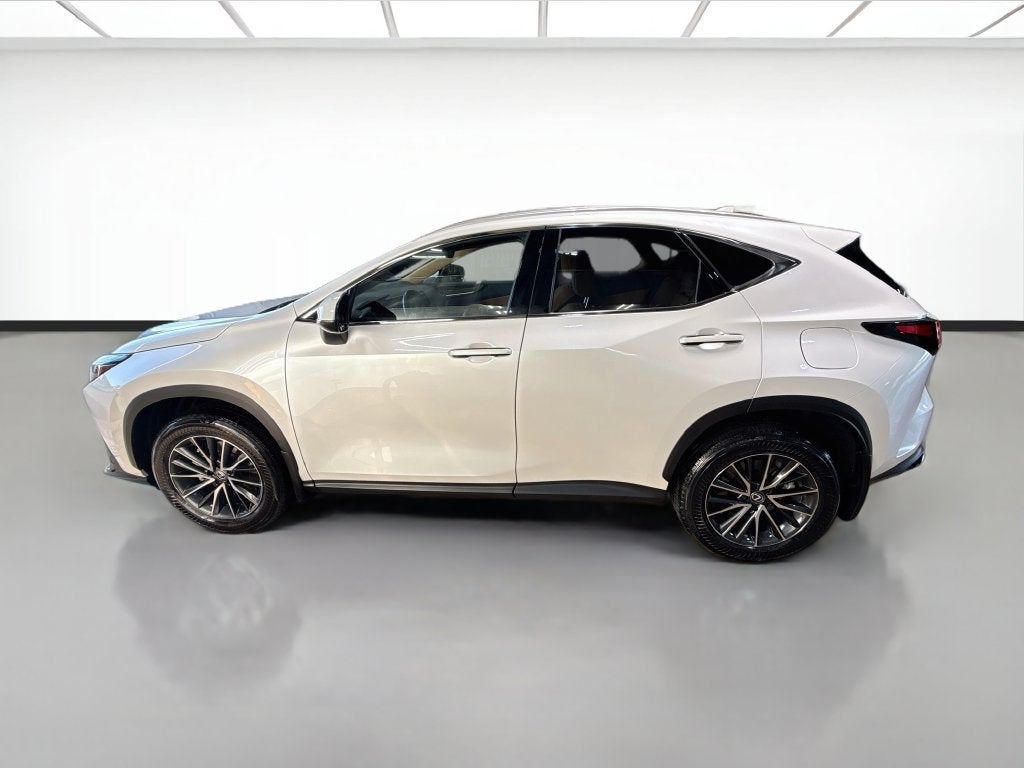 2024 Lexus NX NX 350